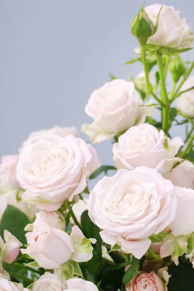 Buchet de trandafiri roz . — Fotografie, imagine de stoc