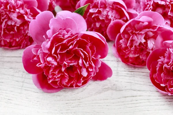 Pink peonies on white wood — Stock Photo, Image