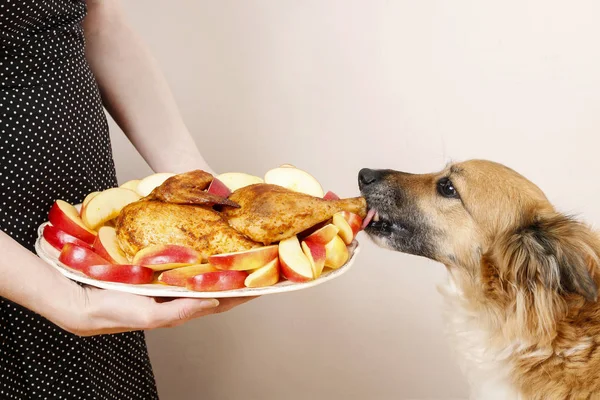Dog stealing a roasted chicken