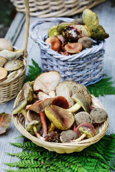 Cesti con funghi — Foto Stock