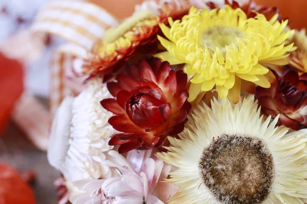 Dekorativní koule z Helichrysum bracteatum — Stock fotografie