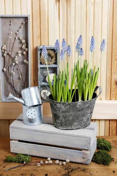 Lieu de travail du fleuriste : mise en pot des fleurs de printemps . — Photo