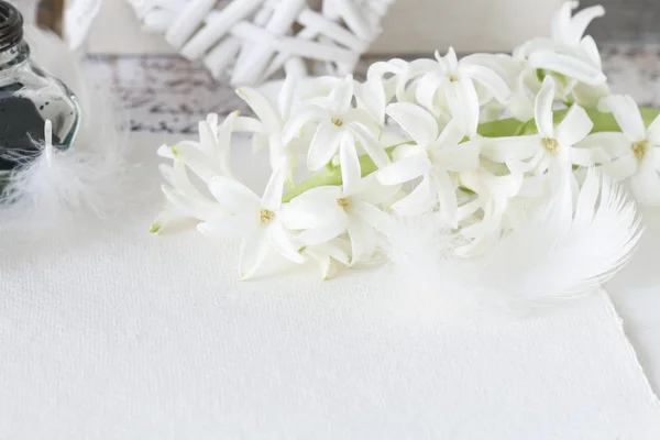 Hyacinth flower, white feathers and sheet of paper.