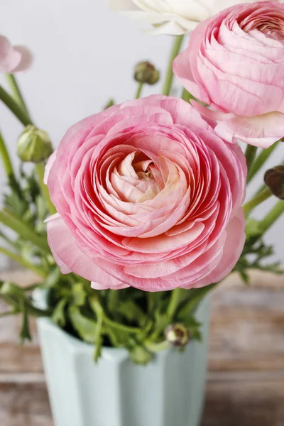 Flores de ranúnculo rosa . — Fotografia de Stock