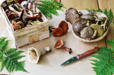 Birlikte karıştırılan yenilebilir ve zehirli mantar.