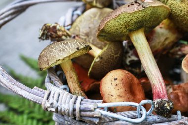 Ahşap bankta mantarlı sepetler