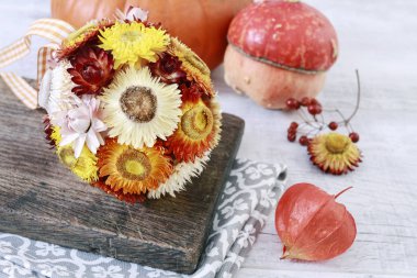 Dekoratif top helichrysum bracteatum yapılmış - sonsuz flo