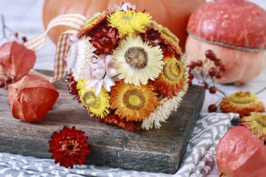 Dekoratif top helichrysum bracteatum yapılmış - sonsuz flo