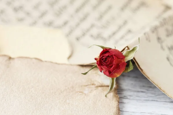 붉은 장미와 사랑 편지. — 스톡 사진