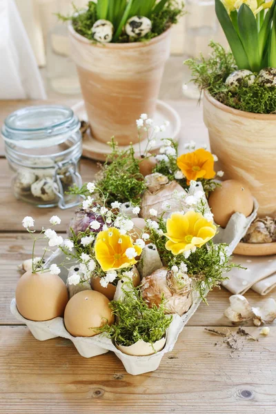 Arranjo floral de Páscoa com caixa de ovo de papel comum — Fotografia de Stock