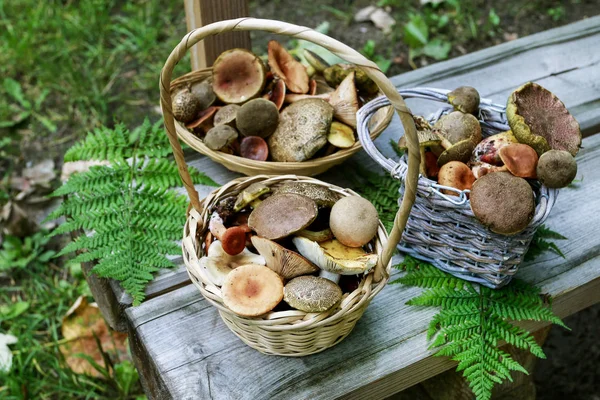 Košíky s houbami na dřevěné lavici — Stock fotografie