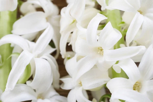 Flores de jacinto blanco . — Foto de Stock