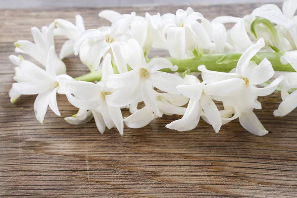 Λευκά λουλούδια υάκινθος σε ξύλινο φόντο — Φωτογραφία Αρχείου