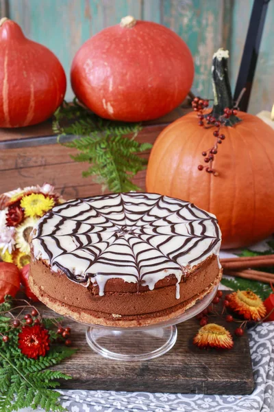 Halloween chocolate spider web cake — Stock Photo, Image