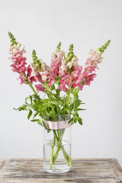 Pink matthiola flowers. — Stock Photo, Image
