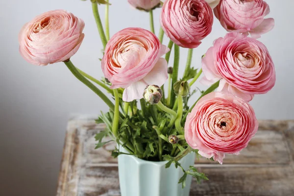 Jaskier różowe kwiaty. — Zdjęcie stockowe