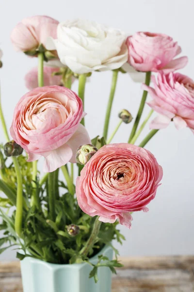 Jaskier różowe kwiaty. — Zdjęcie stockowe