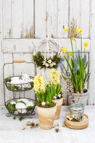 Páscoa decoração de casa com flores de jacinto amarelo . — Fotografia de Stock