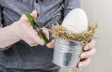 Nasıl kaz yumurtası ile çiçek Aranjman yapmak, krizantem ve