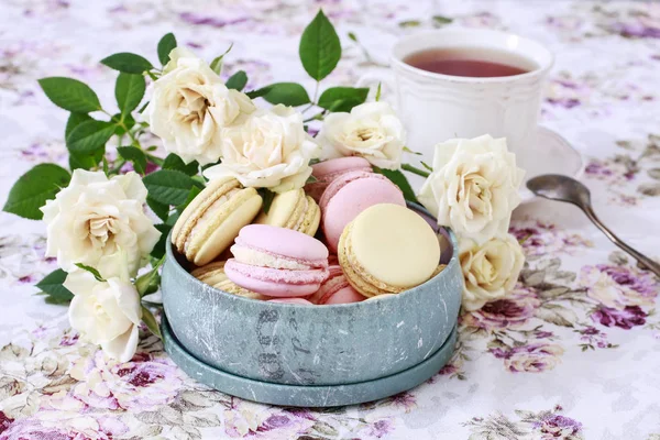 Macaroni francesi e rose gialle . — Foto Stock