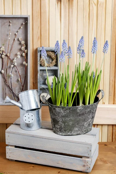 Lieu de travail du fleuriste : mise en pot des fleurs de printemps . — Photo