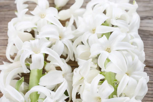 Witte hyacint bloemen. — Stockfoto