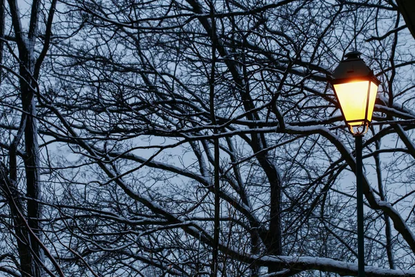 Vintage lanterna di ferro e rami ricoperti di neve alla vigilia — Foto Stock