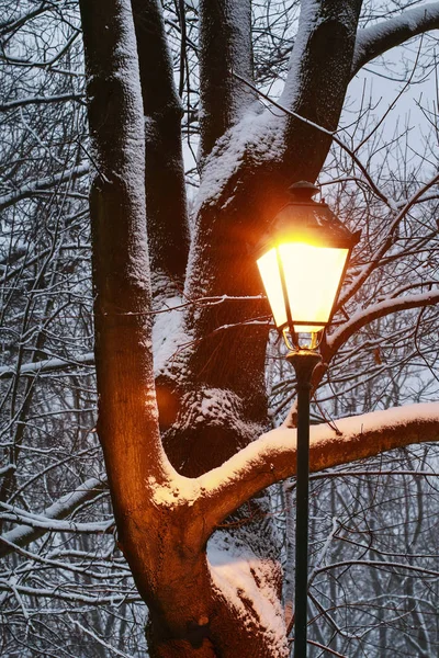 Vintage lanterna di ferro e rami ricoperti di neve alla vigilia — Foto Stock