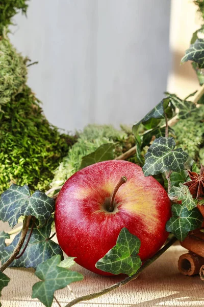 Punainen omena, muratti lehdet ja sammal seppele — kuvapankkivalokuva