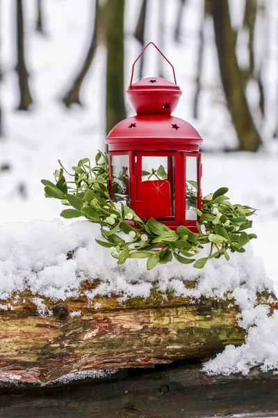 Красный фонарь и венок омелы в зимнем саду — стоковое фото