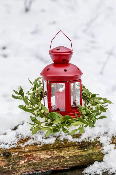 Красный фонарь и венок омелы в зимнем саду — стоковое фото