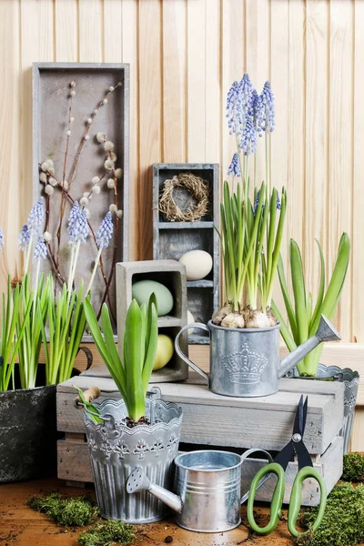Local de trabalho florista: vasos de flores da primavera . — Fotografia de Stock
