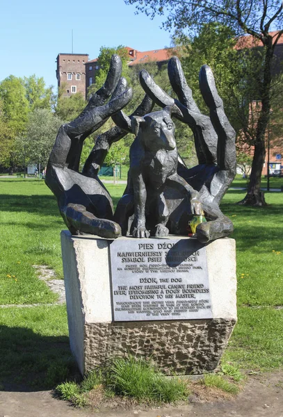 KRAKOW, POLAND - JULY 20, 2016: Monument of the dog Dzok — Stock Photo, Image