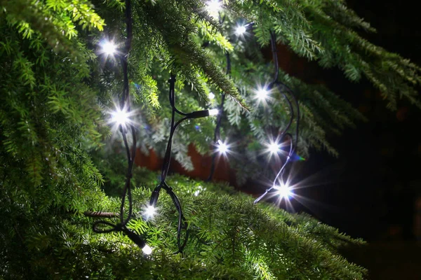 LED-lampjes op kerstboom. — Stockfoto