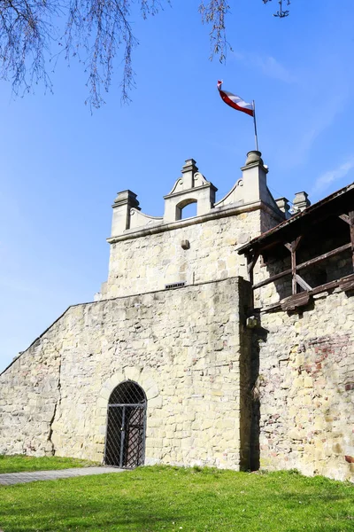 NOWY SACZ, POLONIA - 12 AGOSTO 2016: Rovine di un castello medievale — Foto Stock