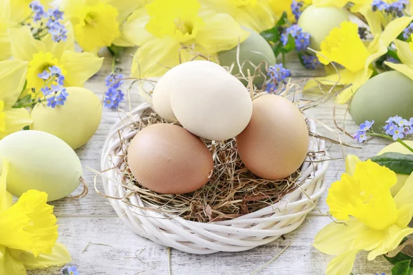 Желтые нарциссы и пасхальные яйца, праздничный декор — стоковое фото