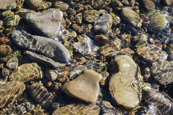 Su altında yosunla kaplı taşlar. 