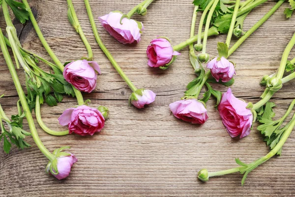 Roze Perzisch buttercup bloemen (Boterbloem) op houten achtergrond — Stockfoto