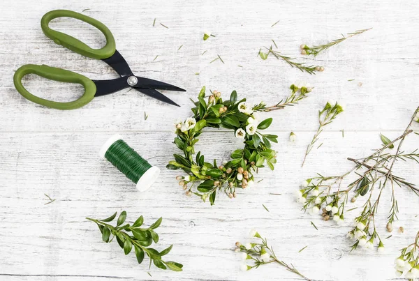 Hoe maak je Pasen krans voor ei met Buxus en chamelaucium, t — Stockfoto