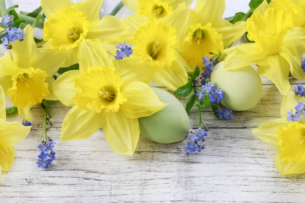 Нарциссы и цветы-забывчивые — стоковое фото