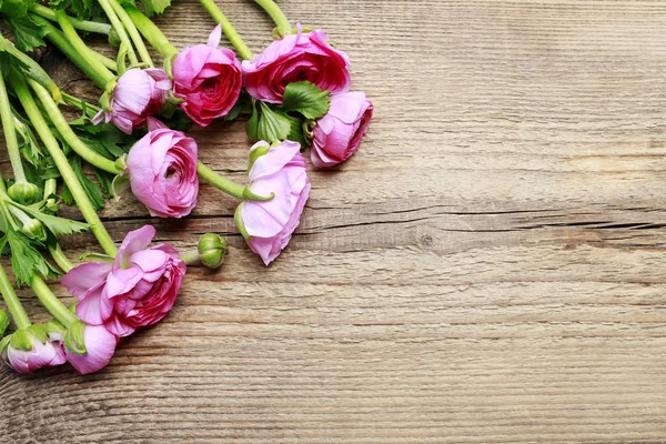 Blommor rosa Persiska smörblomma (ranunculus) på trä bakgrund — Stockfoto