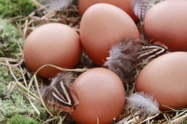 Yosun çelenk, saman ve yumurta ile Paskalya masası dekorasyonu. 