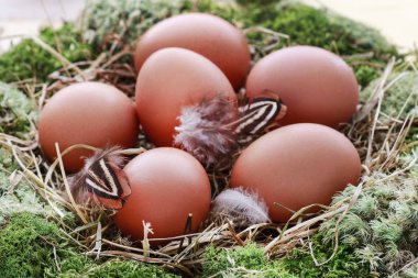 Yosun çelenk, saman ve yumurta ile Paskalya masası dekorasyonu. 