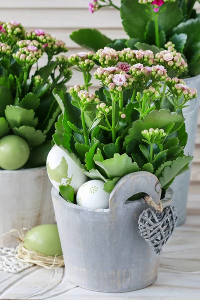 Enkla hem arrangemang med populära blommor, Moss och Ivy Twig — Stockfoto