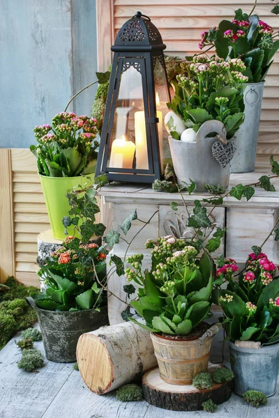 Arreglos caseros simples con flores populares, musgo y ramita de hiedra —  Fotos de Stock
