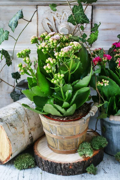 Simple home arrangements with popular flowers, moss and ivy twig