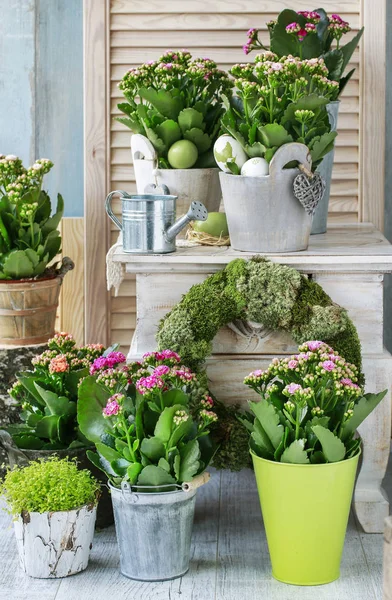 Eenvoudige huis arrangementen met populaire bloemen, mos en Ivy twig — Stockfoto
