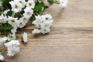 Ahşap arka planda beyaz kasımpatı çiçekleri