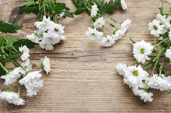 White chrysanthemum flowers on wooden background — Stock Photo, Image