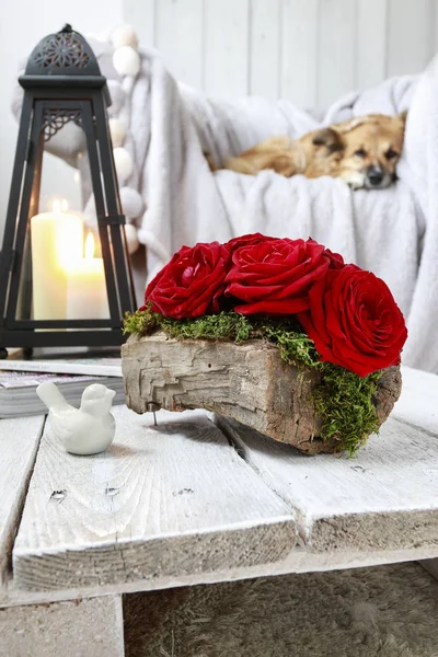 Día de San Valentín arreglo floral con rosas y mos dentro de una p — Foto de Stock